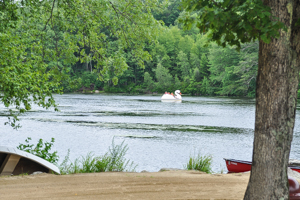 Swan Peddleboat at Witch Meadow Lake Family Campground
