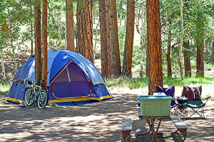 Tent Camping at Witch Meadow Family Campground